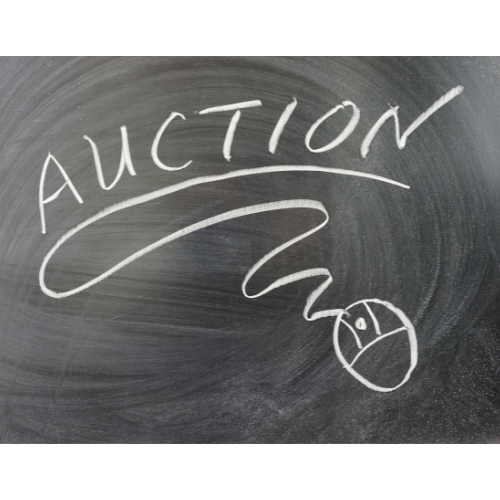 Auction Zone