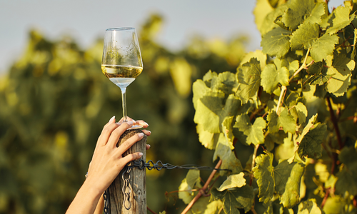 New Zealand White Wine